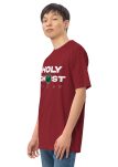 mens-premium-heavyweight-tee-brick-red-left-front-674a2647241b3.jpg