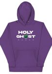 unisex-premium-hoodie-purple-front-674a2eeda2e57.jpg